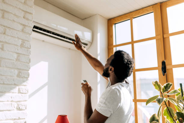 Best HVAC Air Duct Cleaning  in Fox Lake, IL